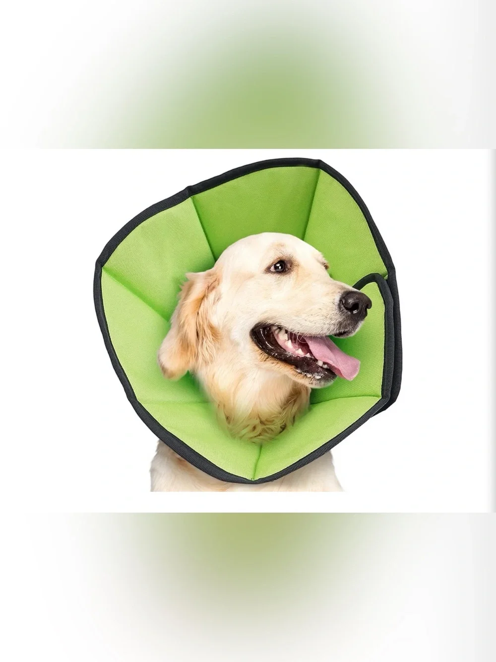 Dog Recovery Cone Soft Fabric E-Collar in Green size Large